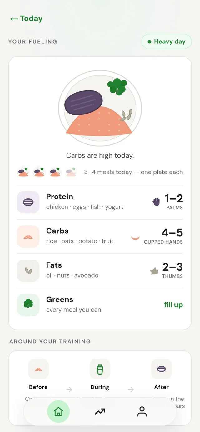The daily fuel view, showing hand-portion guidance for protein, carbs and vegetables.